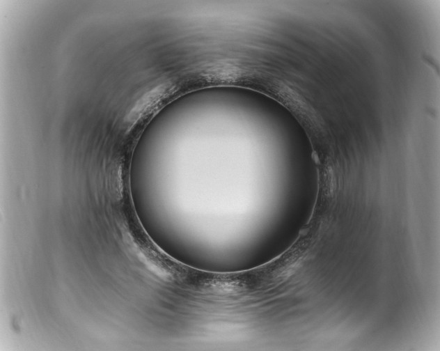 X0000100220638200805301347