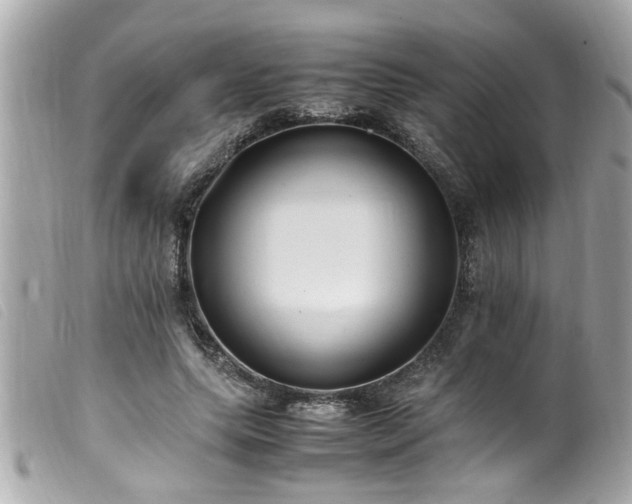 X0000100220639200805301347