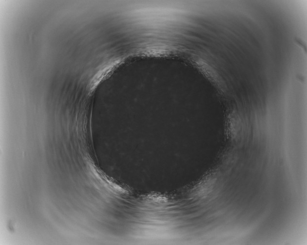 X0000100220640200805301347