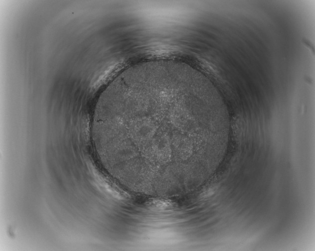 X0000100220642200805301347