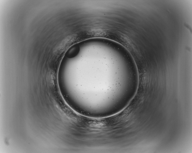 X0000100220643200805301347