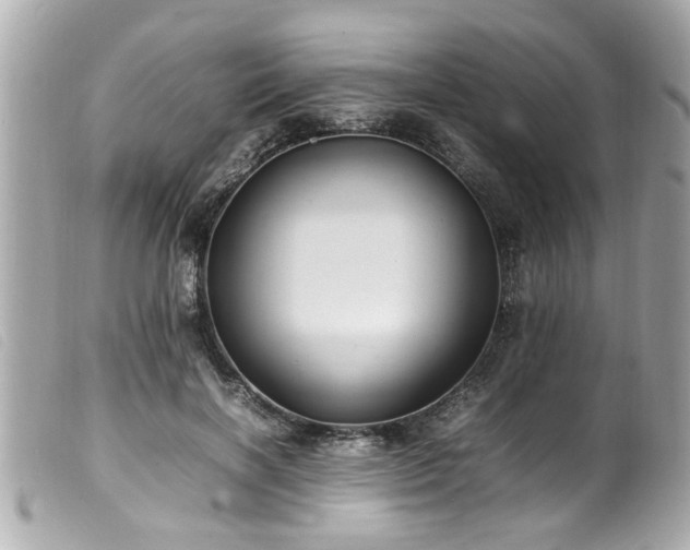 X0000100220646200805301348