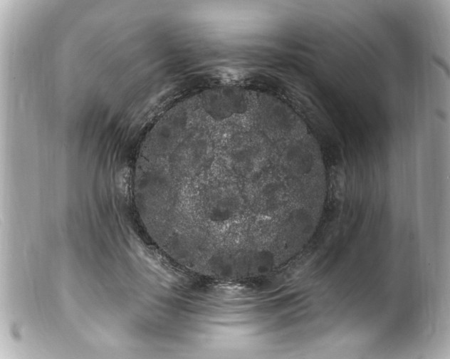 X0000100220650200805301348