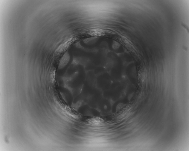 X0000100220652200805301348