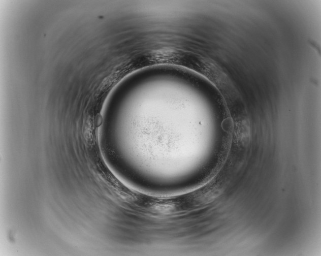 X0000100220653200805301348