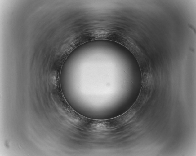 X0000100220655200805301348
