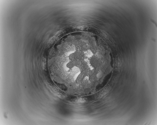 X0000100220656200805301348