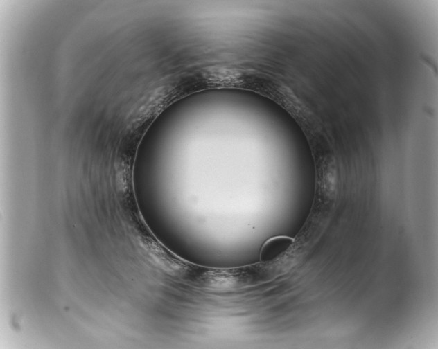 X0000100220658200805301348