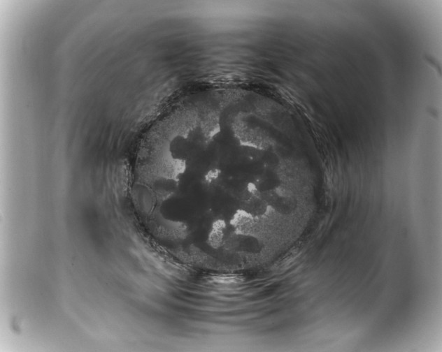 X0000100220659200805301348