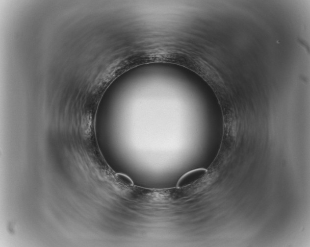 X0000100220660200805301348