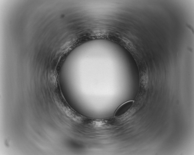X0000100220662200805301348