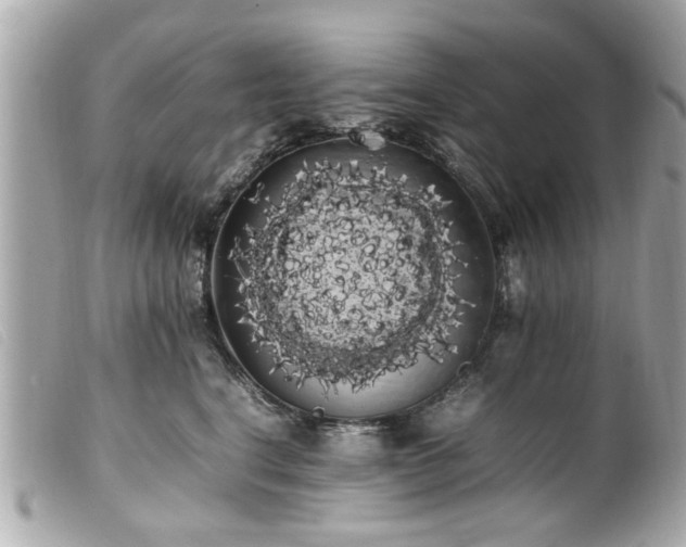 X0000100220664200805301348