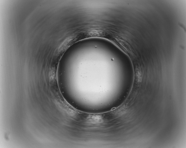 X0000100220665200805301348