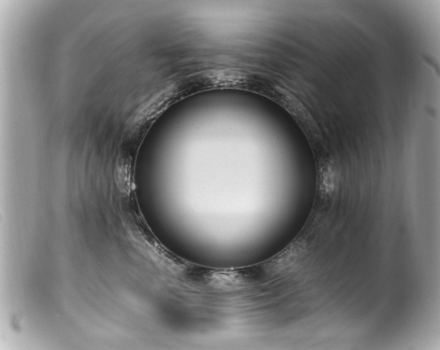 X0000100220666200805301348