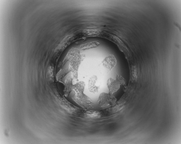 X0000100220667200805301348
