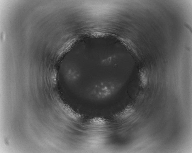 X0000100220668200805301348