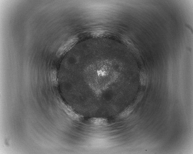 X0000100220670200805301348