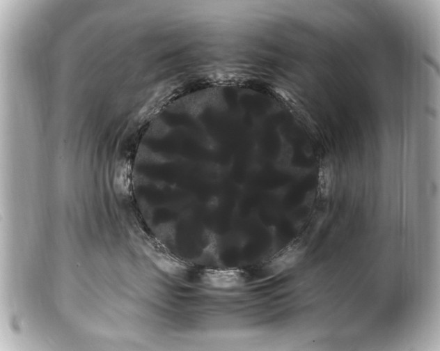 X0000100220671200805301348