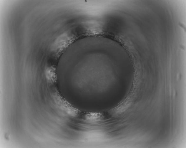 X0000100220672200805301348