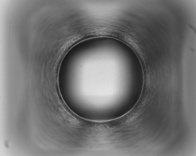 X0000100220673200805301347