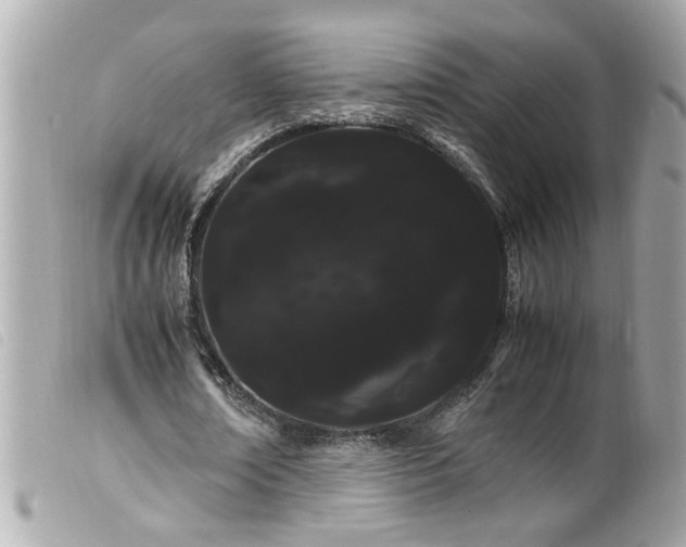 X0000100220674200805301347