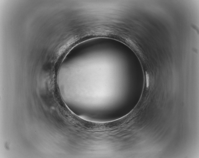 X0000100220675200805301347