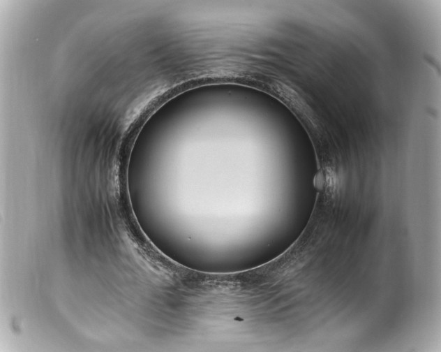 X0000100220676200805301347