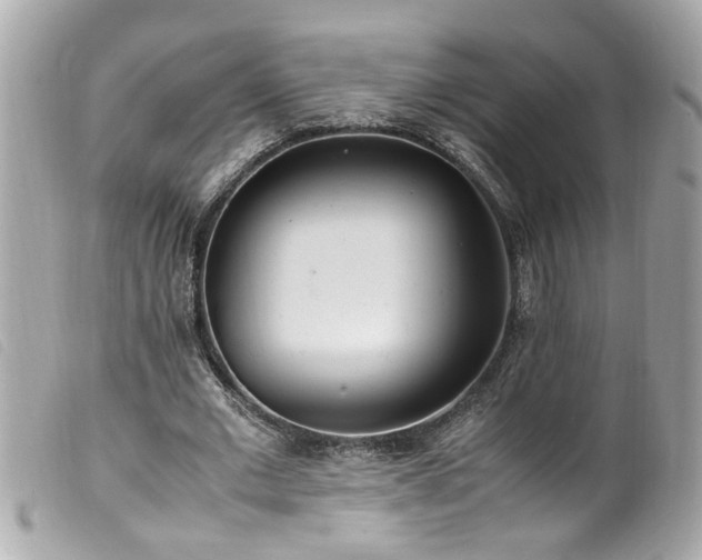 X0000100220677200805301347