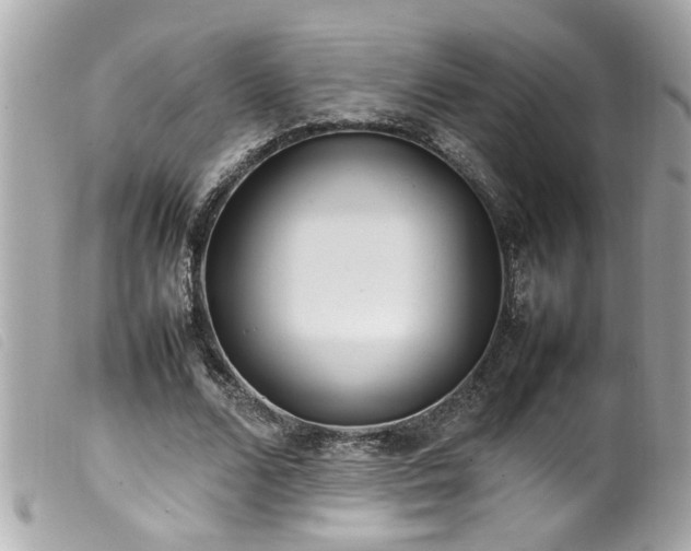 X0000100220680200805301347