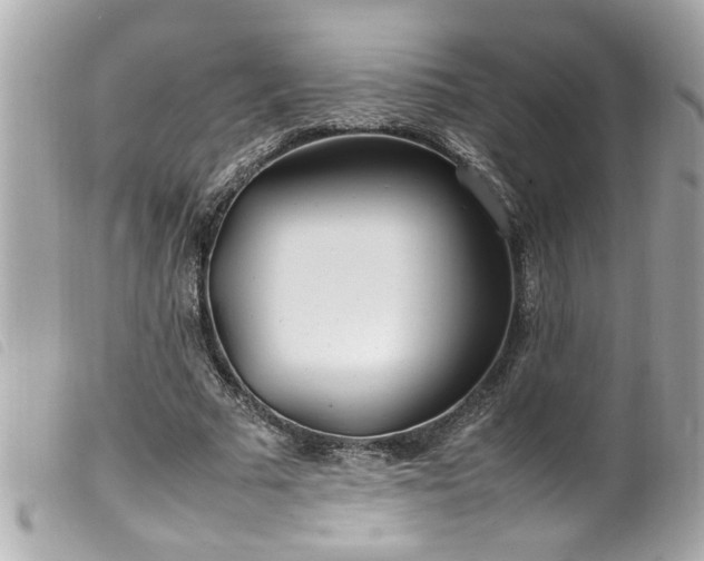 X0000100220681200805301347