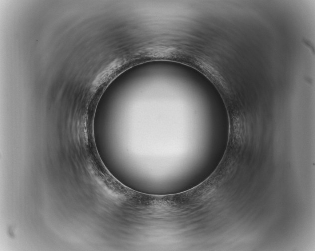 X0000100220682200805301347