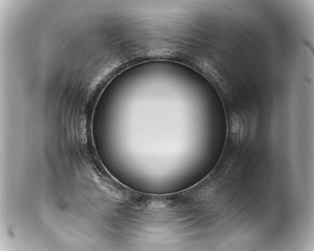 X0000100220684200805301347