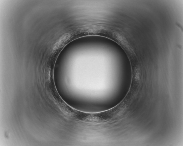 X0000100220685200805301347