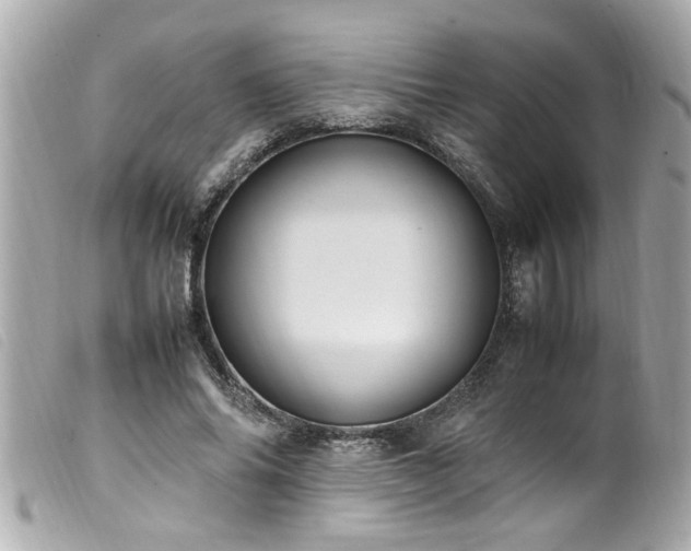 X0000100220686200805301347