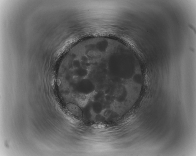 X0000100220687200805301347