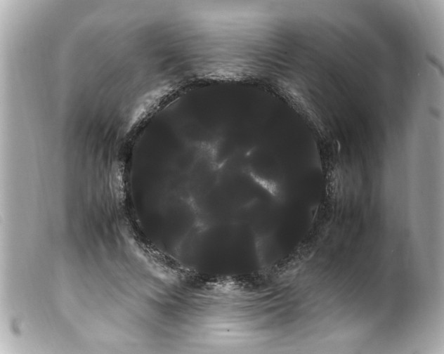 X0000100220688200805301347