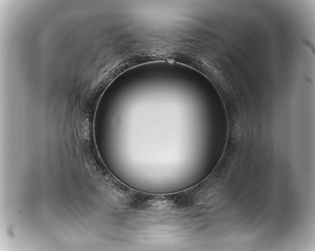 X0000100220689200805301347