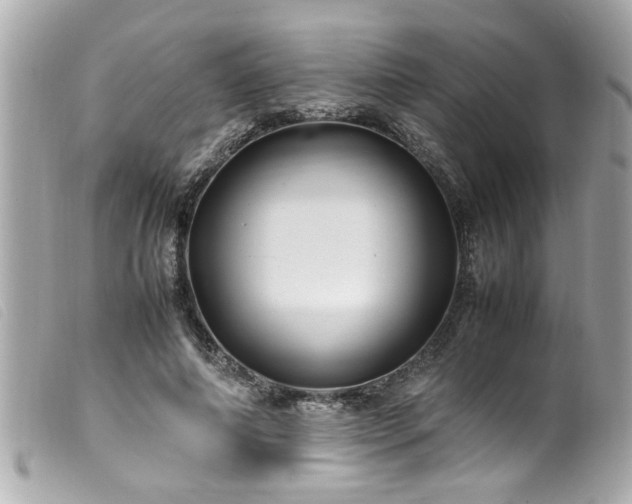 X0000100220690200805301347