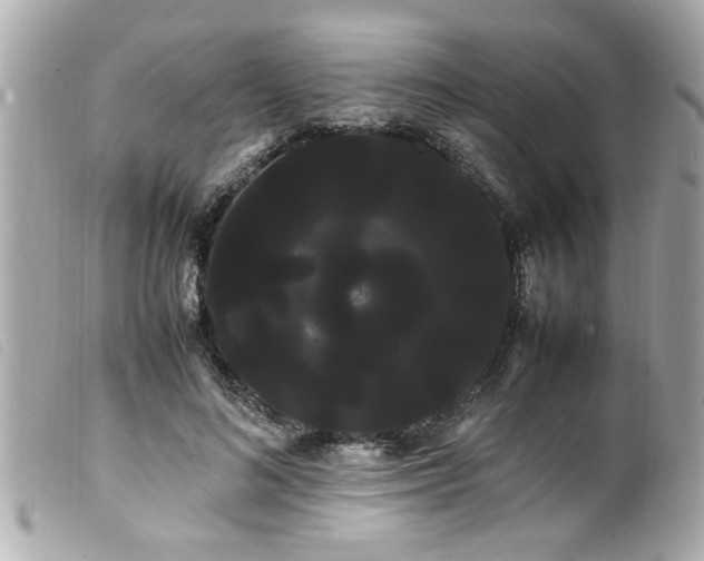 X0000100220692200805301347