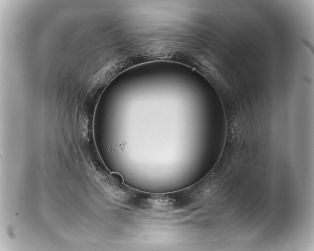 X0000100220693200805301347