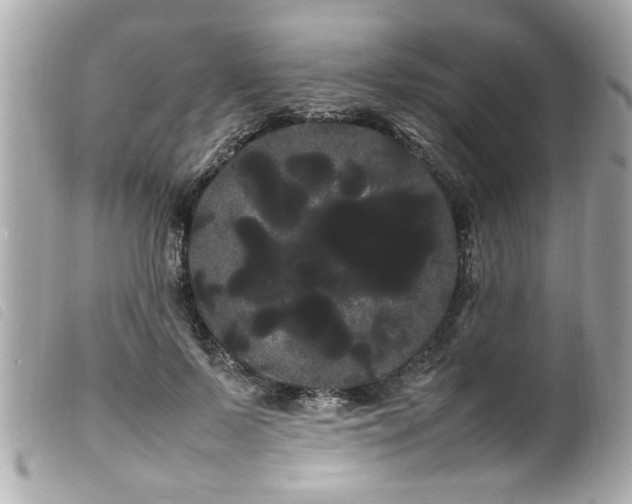 X0000100220695200805301347