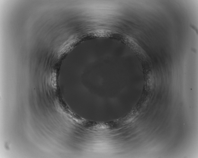 X0000100220696200805301347