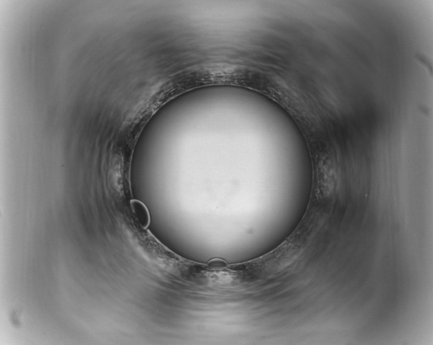 X0000100220698200805301347
