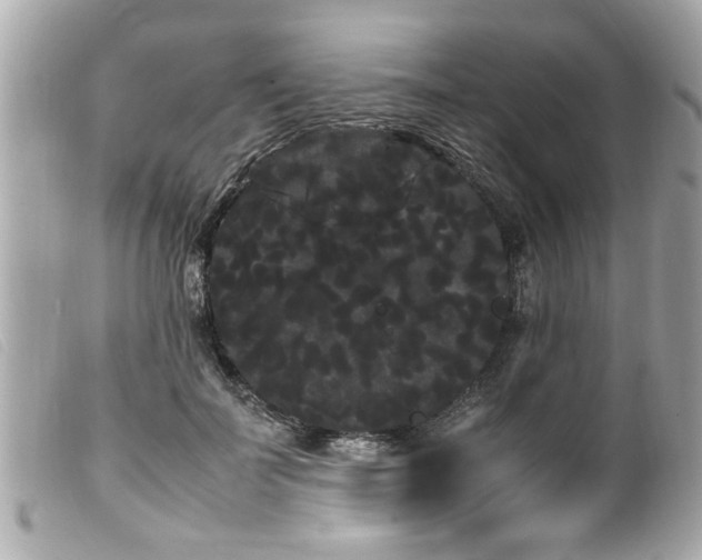 X0000100220699200805301347