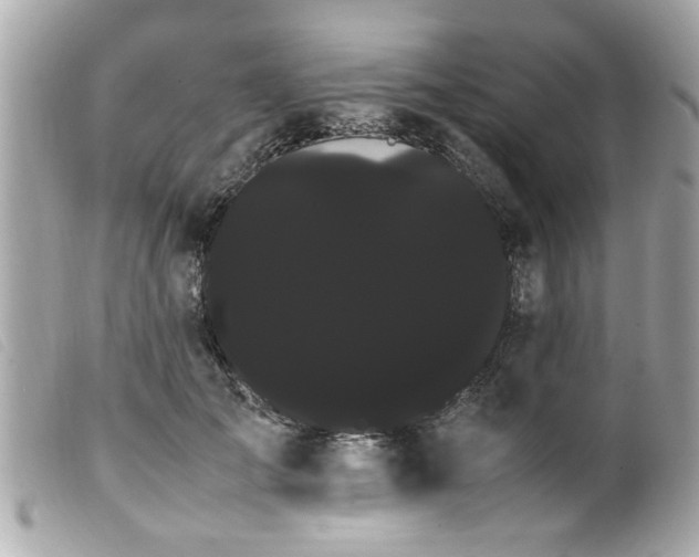 X0000100220701200805301347