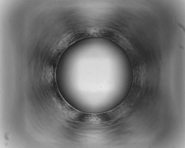 X0000100220702200805301347
