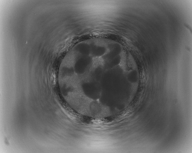 X0000100220703200805301347