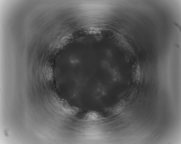 X0000100220704200805301347