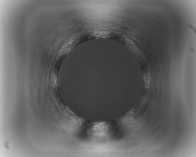 X0000100220705200805301347