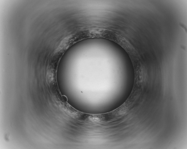 X0000100220706200805301347